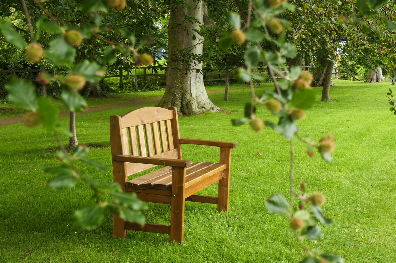 relax, solitude, garden, nature, park, peaceful, seat, wood, outdoor, introspection, relaxation, tranquil, lonely, alone, bench, environment, green relax, green alone, green peace, green lonely, introspection, introspection, introspection, introspection, introspection